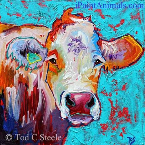 "Cow Painting, 'Milady Lovejoy' - 12x12 - by Tod C Steele" original fine art by Tod Steele "Cow Painting, 'Milady Lovejoy' - 12x12 - by Tod C Steele" original fine art by Tod Steele