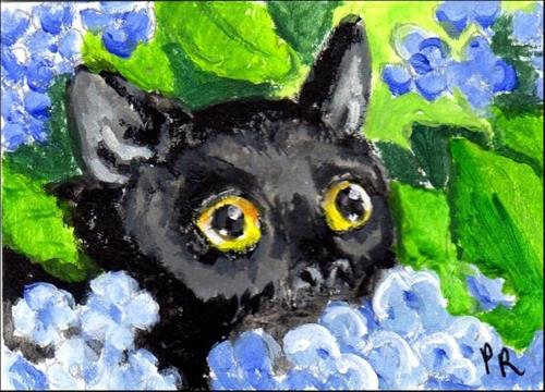 "Black Cat in the Blue Hydrangea" original fine art by Patricia Ann Rizzo "Black Cat in the Blue Hydrangea" original fine art by Patricia Ann Rizzo