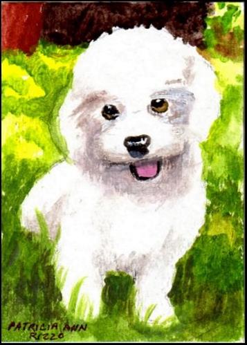 "Small White Puppy" original fine art by Patricia Ann Rizzo "Small White Puppy" original fine art by Patricia Ann Rizzo