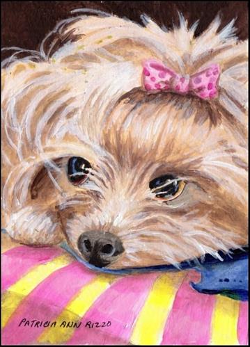 "Yorkie, My Kind of Dog" original fine art by Patricia Ann Rizzo "Yorkie, My Kind of Dog" original fine art by Patricia Ann Rizzo