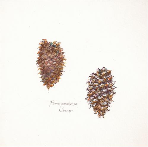 "Pinus ponderosa - Summer" original fine art by Jean Krueger "Pinus ponderosa - Summer" original fine art by Jean Krueger