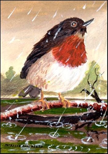"Robin in the Rain" original fine art by Patricia Ann Rizzo "Robin in the Rain" original fine art by Patricia Ann Rizzo