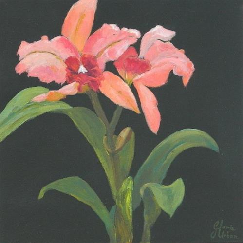 "Orchid #2" original fine art by Gloria Urban "Orchid #2" original fine art by Gloria Urban