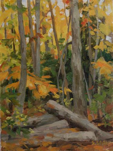 "In the Woods 12x9" original fine art by Sharon Will "In the Woods 12x9" original fine art by Sharon Will