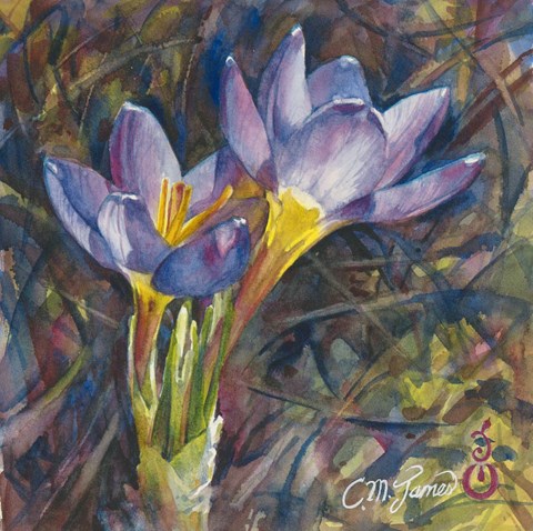 "Crocus Couple" original fine art by Catherine M. James "Crocus Couple" original fine art by Catherine M. James