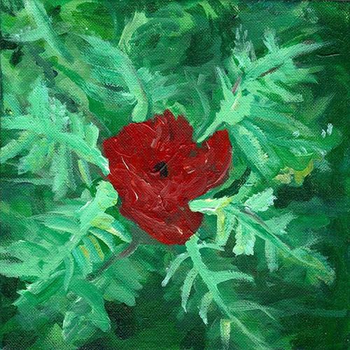 "Poppy" original fine art by Betsy Cook "Poppy" original fine art by Betsy Cook