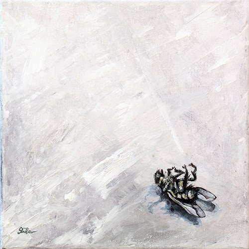 "1491 Ende einer Fliege" original fine art by Dietmar Stiller "1491 Ende einer Fliege" original fine art by Dietmar Stiller
