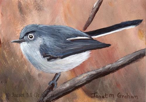 "Blue Grey Gnatcatcher ACEO" original fine art by Janet Graham "Blue Grey Gnatcatcher ACEO" original fine art by Janet Graham