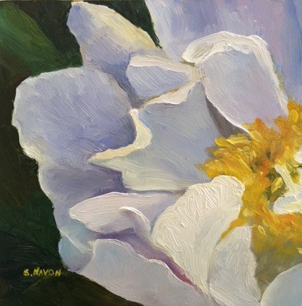 "White Peony" original fine art by Stephanie Navon Jacobson "White Peony" original fine art by Stephanie Navon Jacobson