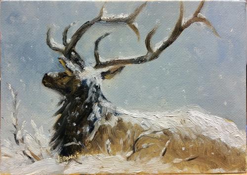 "Elk in snow-study" original fine art by Veronica Brown "Elk in snow-study" original fine art by Veronica Brown