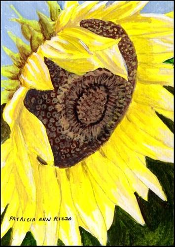"One Big Sunflower" original fine art by Patricia Ann Rizzo "One Big Sunflower" original fine art by Patricia Ann Rizzo