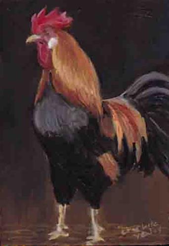 "Standing Rooster" original fine art by Charlotte Yealey "Standing Rooster" original fine art by Charlotte Yealey