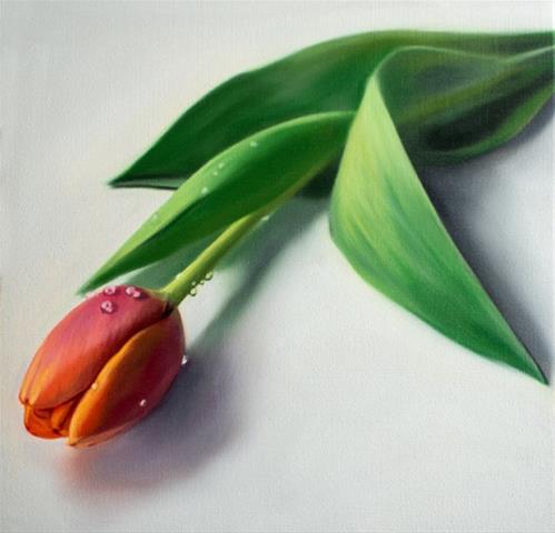 "Dew Drop Tulip" original fine art by Lauren Pretorius "Dew Drop Tulip" original fine art by Lauren Pretorius
