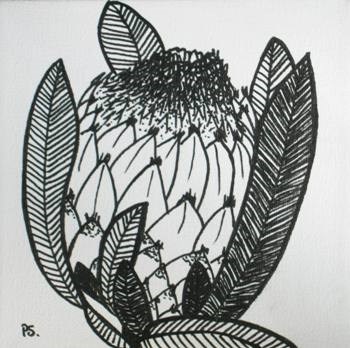 "Protea III in b/w" original fine art by Pera Schillings "Protea III in b/w" original fine art by Pera Schillings