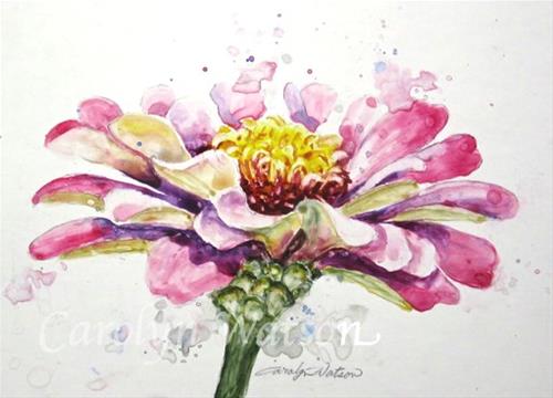 "Pink Zinnia" original fine art by carolyn watson "Pink Zinnia" original fine art by carolyn watson