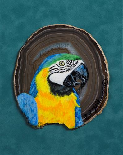 "South American Beauty" original fine art by Bob Williams "South American Beauty" original fine art by Bob Williams