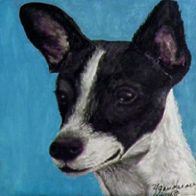 "Rat Terrier" original fine art by Yvette Gaudreau "Rat Terrier" original fine art by Yvette Gaudreau